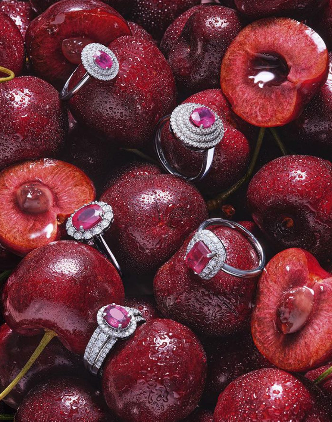 VAN-STRATEN-–-JEWELRY-STILL-LIFE-42