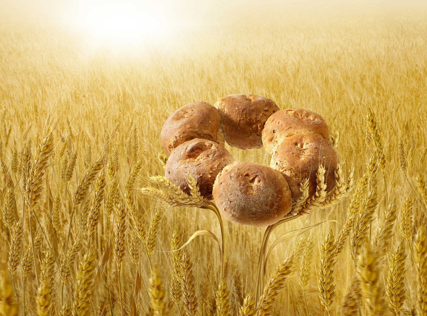 17-MIGROS2Bread