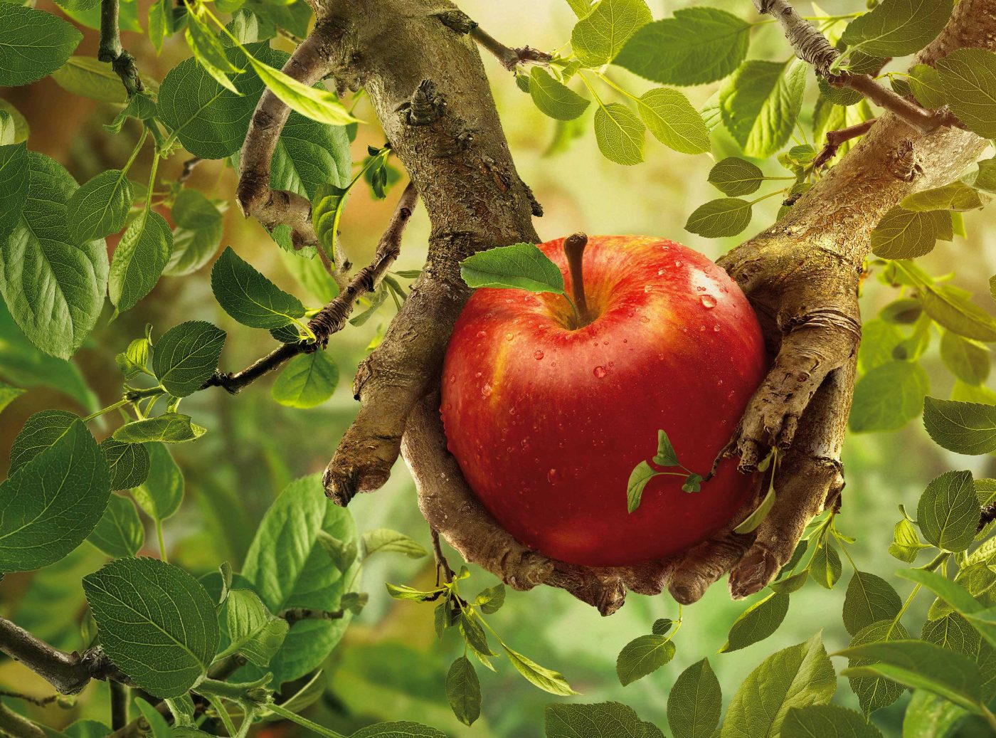 17-MIGROS3Apple