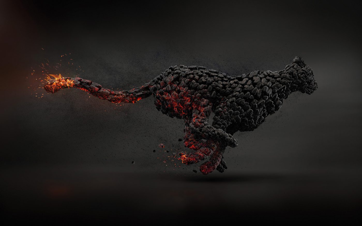 KFCheetah-noLogo