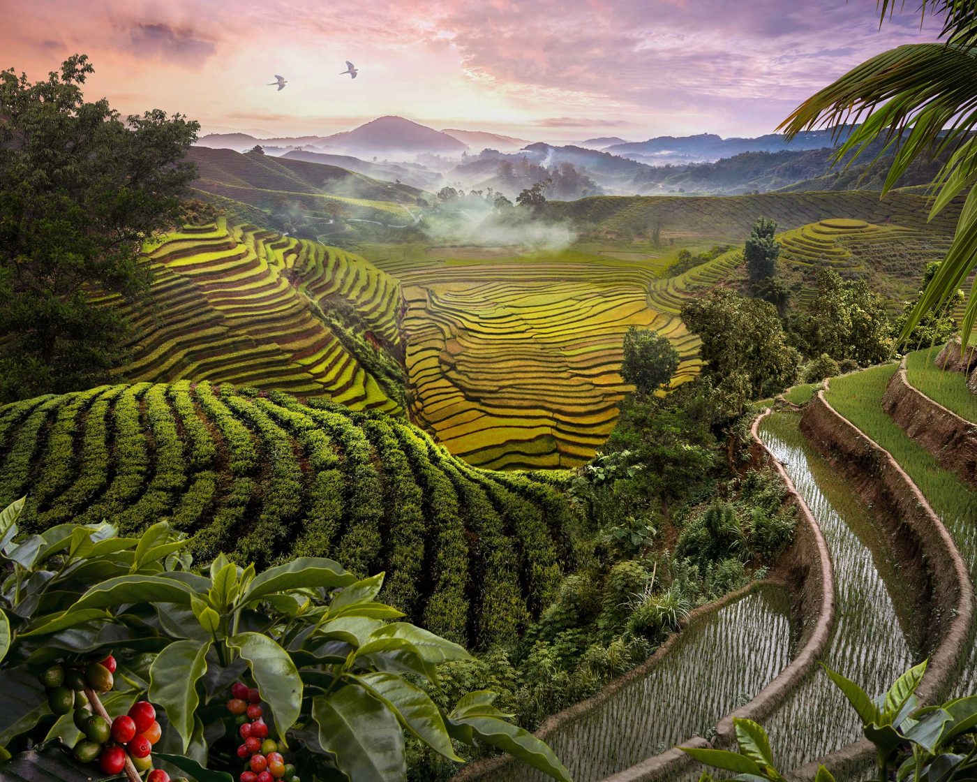 PAULIG_INDONESIA-RGB-v2